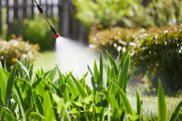 24/7 Emergency Mosquito Control experts in Cedar City, UT