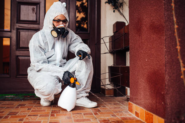Reliable Mosquito Control contractor in Cedar City, UT by Show Me Pest Control